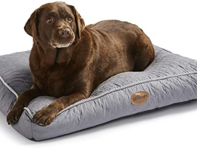 PET CHECK UK Dog lying on dog bed