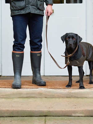 PET CHECK UK - Dog walking - Labrador dog on lead and wearing dog coat with walker