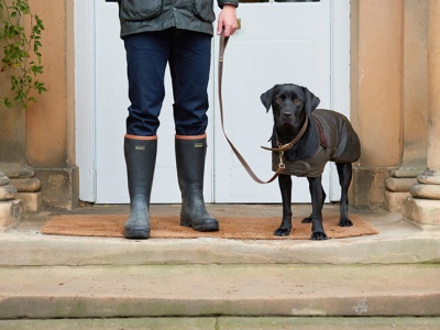 PET CHECK UK - Dog walking - Labrador dog on lead and wearing dog coat with walker